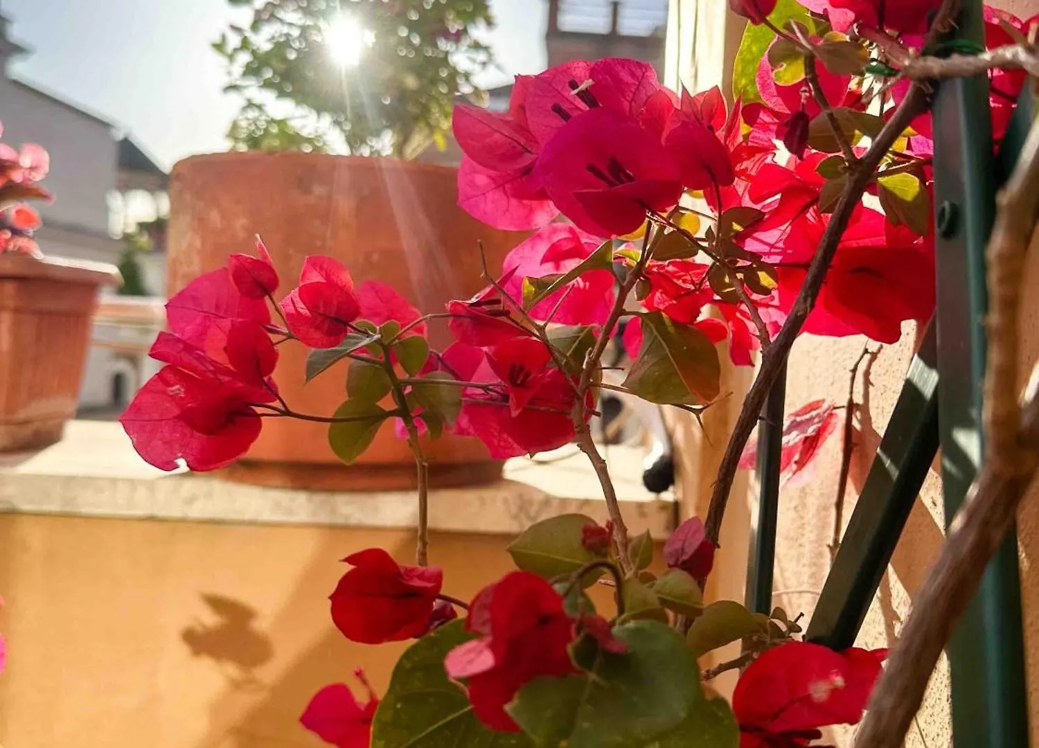 Lovely Panoramic Studio Rome Apartment